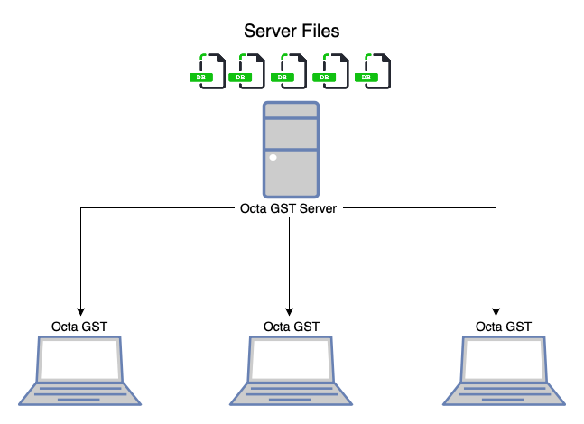 Octa GST Professional Subscription
